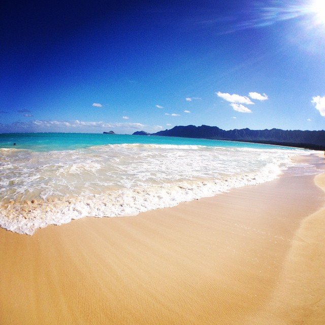 Photo credit: Stephanie Lum-King Bennett