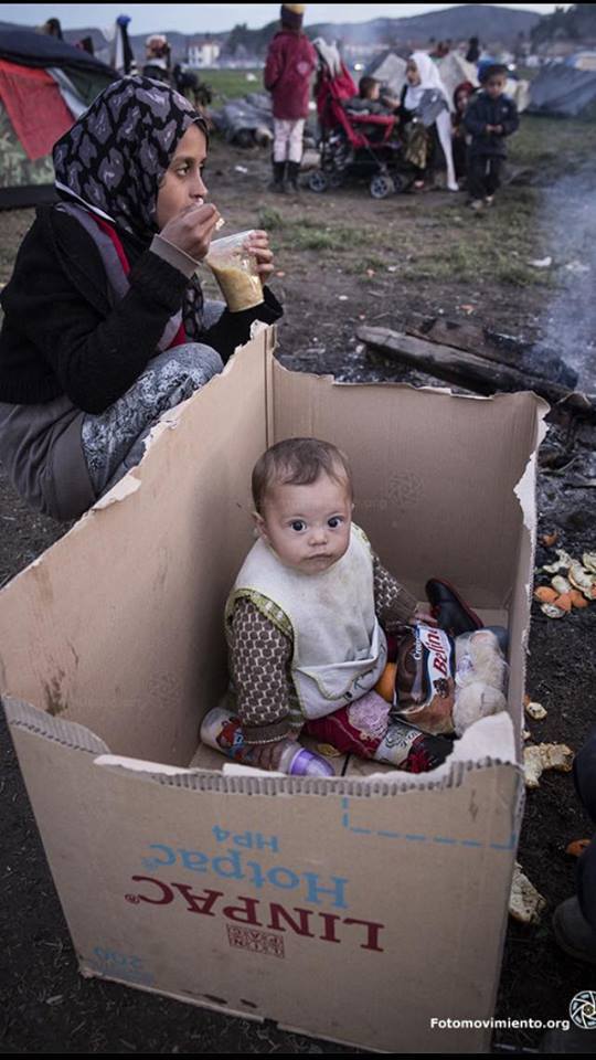 12814031_10208267698027453_9065576926836940418_n